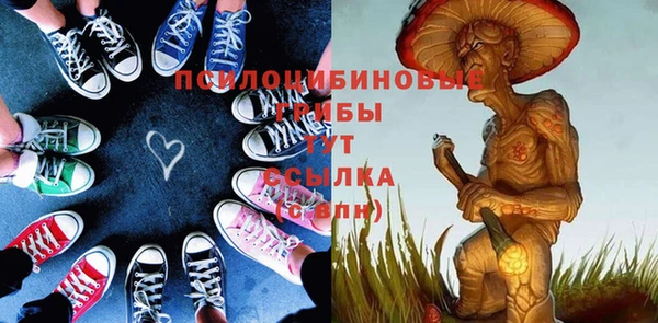 СК Алзамай