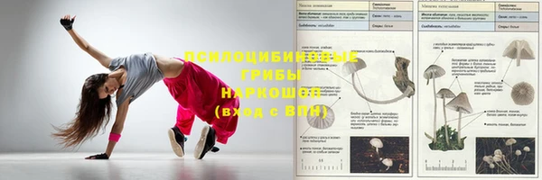 героин Алексин