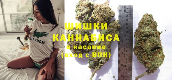 СК Алзамай