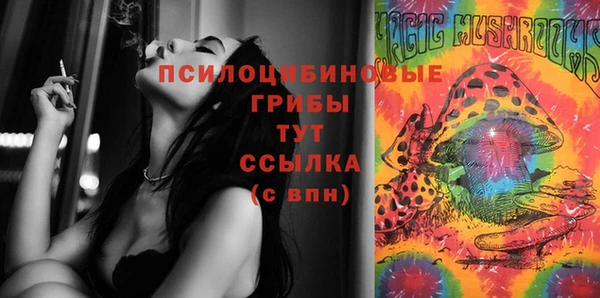 гидропоника Алексеевка