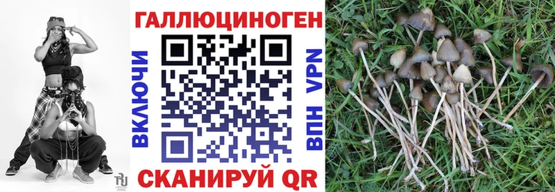 Галлюциногенные грибы мухоморы продажа наркотиков Боготол